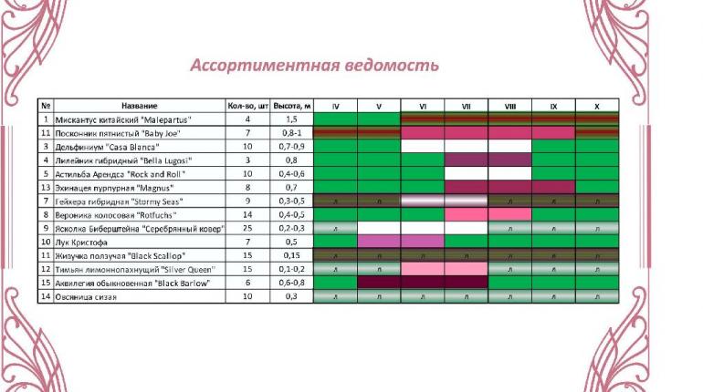 Проект благоустройства прогулочной зоны в Центре Женского Здоровья